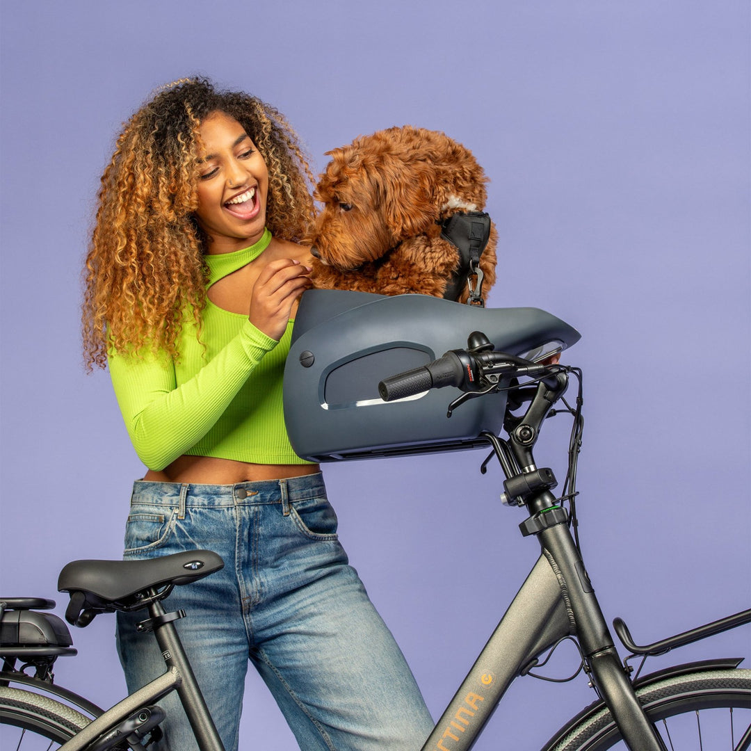 Cute Doodle in a Midnight Gray Kvisp Dog Carrier getting ready for his bike ride #color_midnight-gray