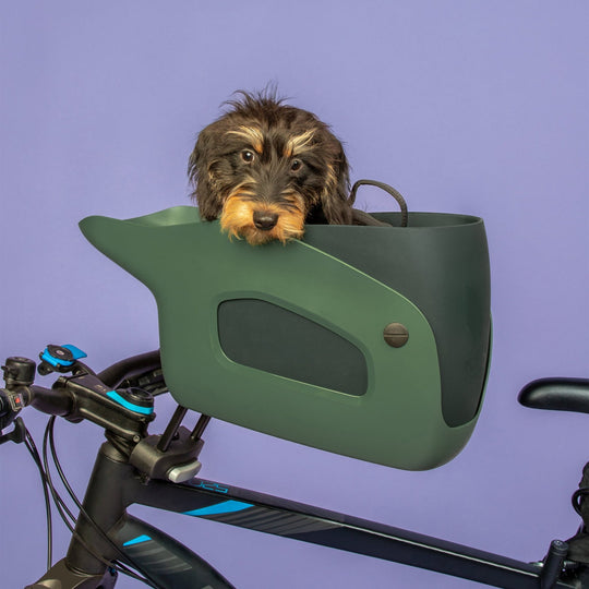 Cute dog in bike carrier for dogs from Kvisp #color_forest-green