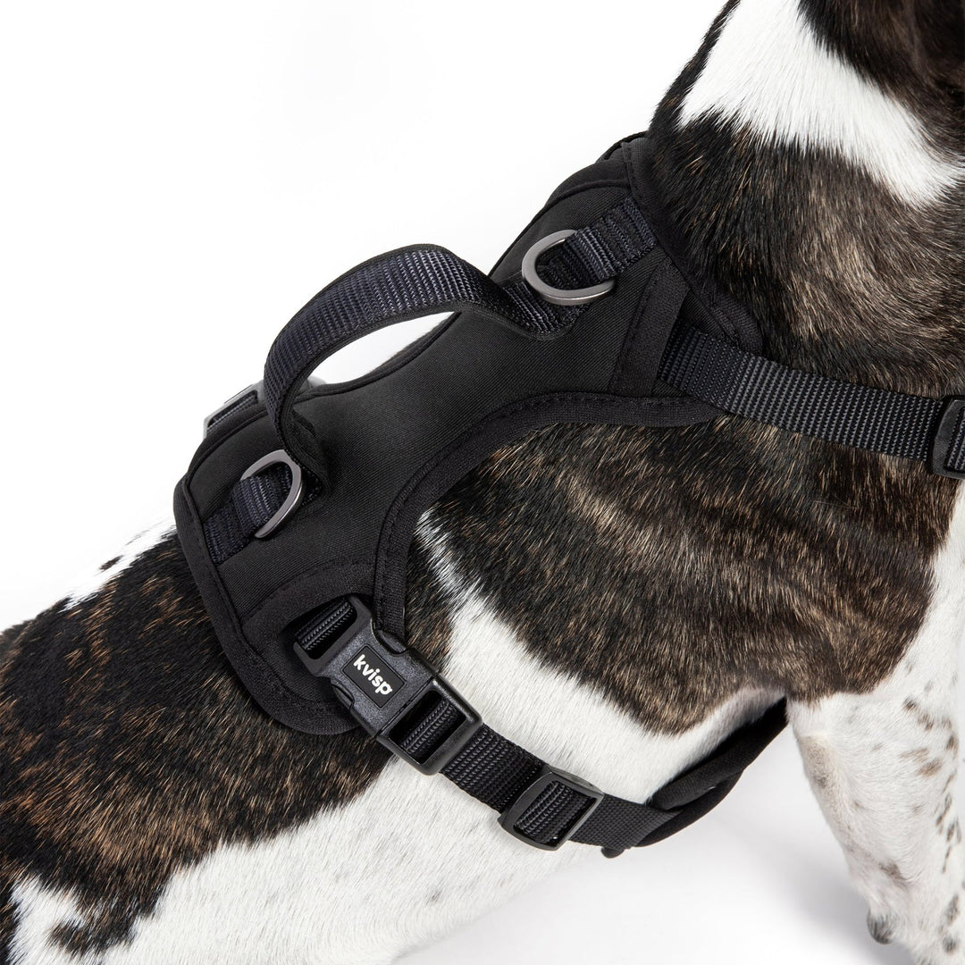 Kvisp Bike and Walk Safety Harness for Dogs Close Up